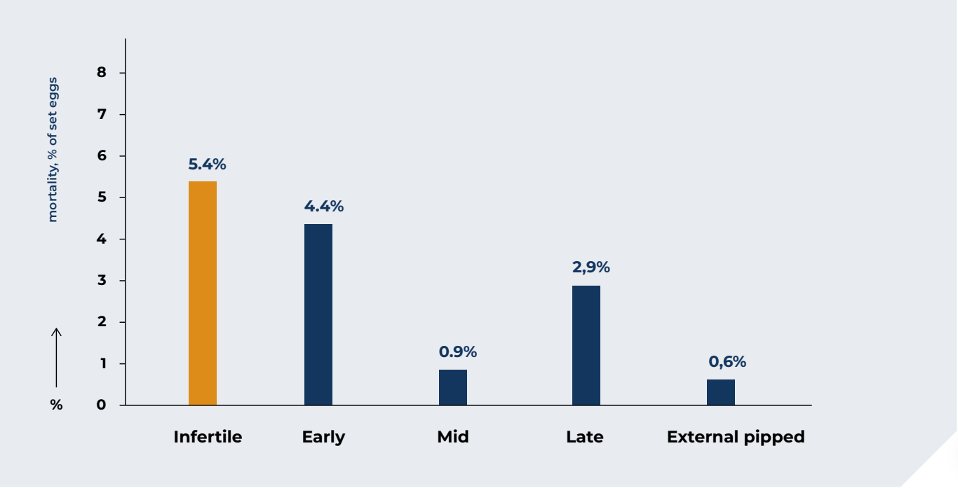 SetGate Graphic
