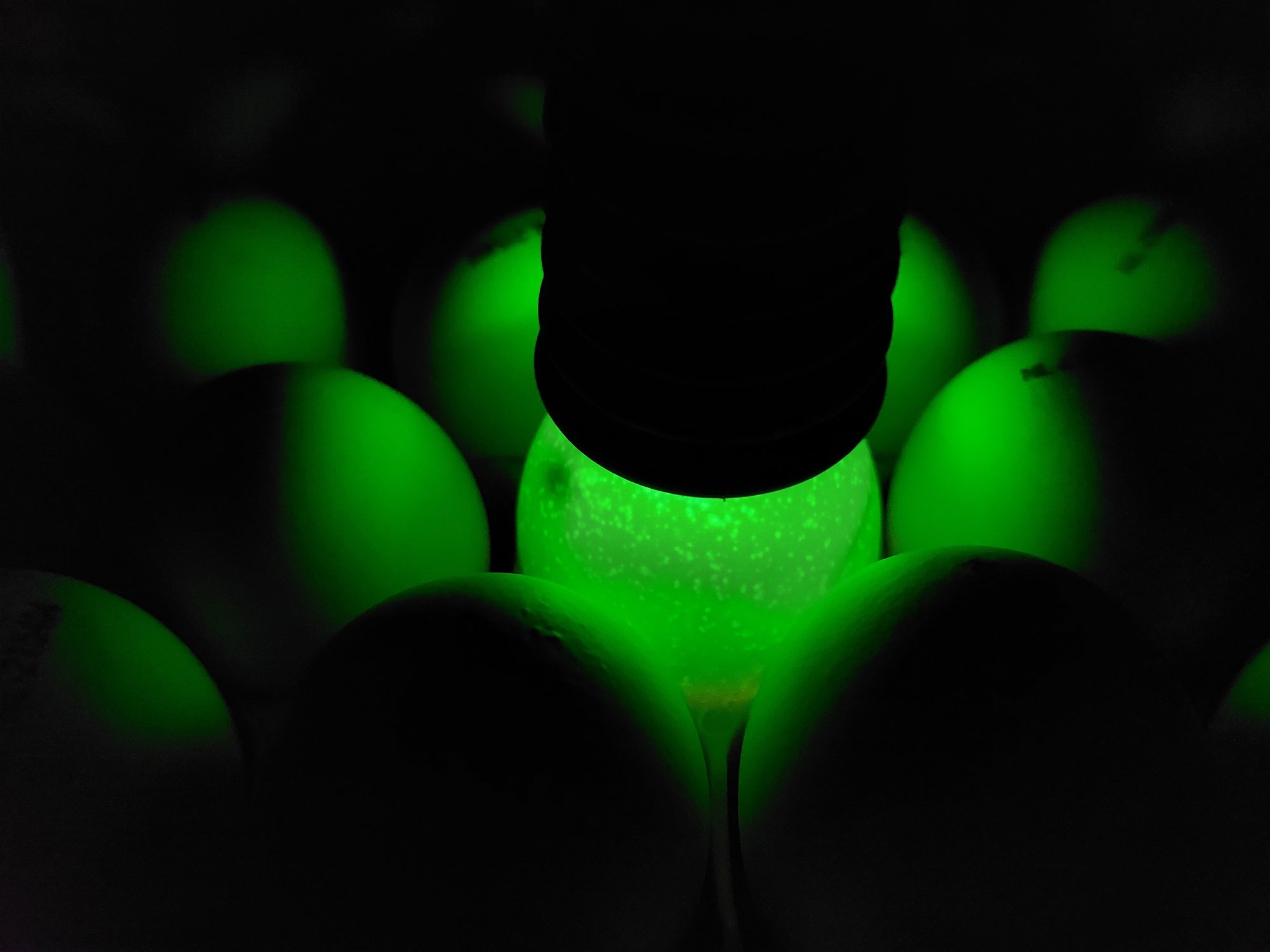 green infertile 2